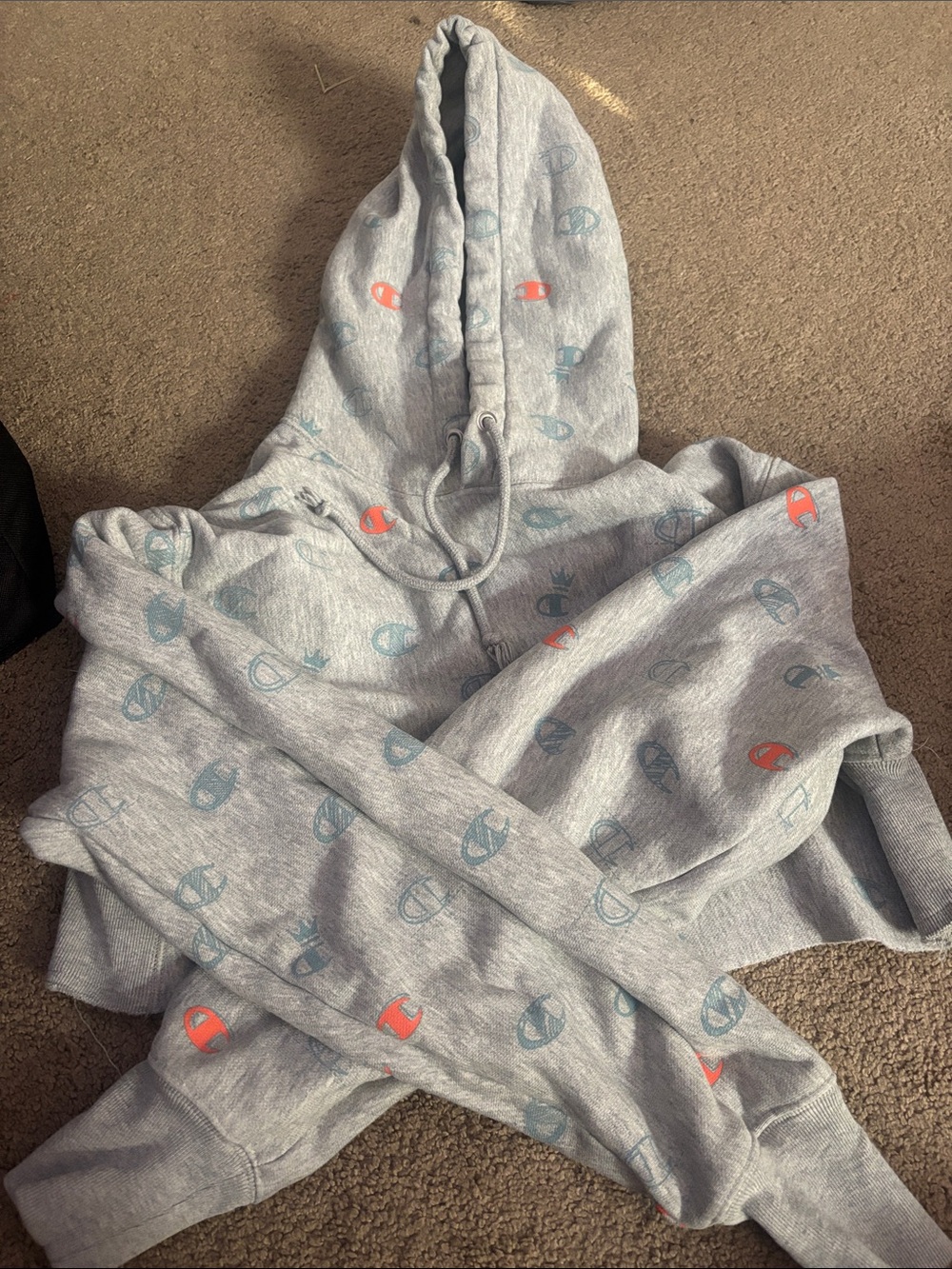 Grey Champion Cropped Hoodie
